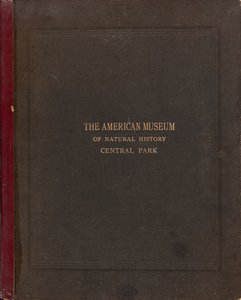 American Museum of Natural Historyn valokuva-albumi, Central Park, New York City