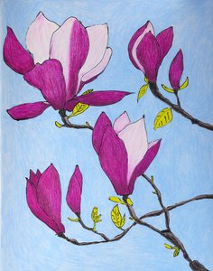 Violetteja magnolian kukkia tekijältä Viktoriia Saunina
