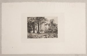 Tammet metsän reunassa tekijältä Vilhelm Kyhn