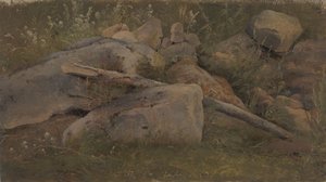 Kivikasan tutkimus tekijältä Vilhelm Petersen