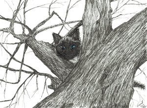 Apple tree Baby, 2015, (muste paperille) tekijältä Vincent Alexander Booth