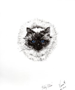 Vauvan pallo, 2015, (muste paperille) tekijältä Vincent Alexander Booth