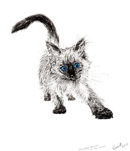 On the Prowl !, 2015, (muste paperille) tekijältä Vincent Alexander Booth
