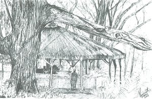 Ulkobaari, Naivasha-järvi, 2006; (mustetta paperille) tekijältä Vincent Alexander Booth