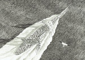 Storm Creators Cape Canaveral, 2022 tekijältä Vincent Alexander Booth