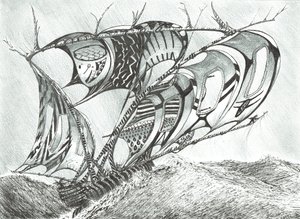 Storm Creators Sargassomeri, 2017, (Tussi paperille) tekijältä Vincent Alexander Booth