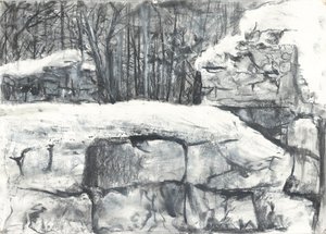 Wall in the Woods Osmotherley tekijältä Vincent Alexander Booth