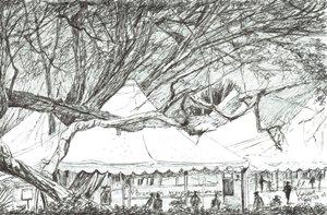 Hääteltat Nawesha-järvellä Kenia, 2003 tekijältä Vincent Alexander Booth