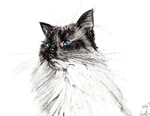 Miksi? 2016, (muste paperille) tekijältä Vincent Alexander Booth