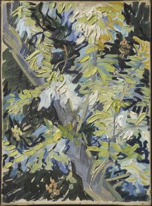 Acacia en fleur - Acacia Flowering, kirjoittanut Gogh, Vincent, van (1853-1890). Öljy kankaalle. Mitat: 33 x 24 cm. Tukholman kansallismuseo tekijältä Vincent van Gogh