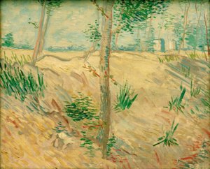 Baumstämme im Sonnenlicht tekijältä Vincent van Gogh