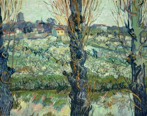 Blick auf Arles tekijältä Vincent van Gogh