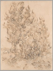 Cypresses tekijältä Vincent van Gogh