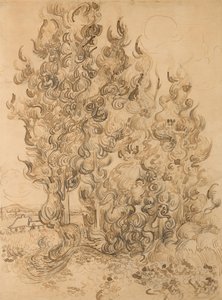 Sypressit tekijältä Vincent van Gogh