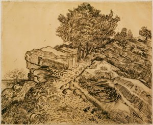 Der Felsen von Montmajour mit Pinien tekijältä Vincent van Gogh