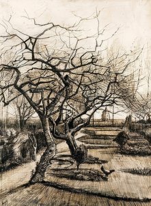 Nuenen pappilan puutarha. 1884 tekijältä Vincent van Gogh