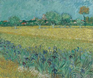 Kenttä, jossa on kukkia lähellä Arlesia tekijältä Vincent van Gogh
