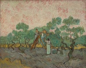 Naiset keräämässä oliiveja. 1889 tekijältä Vincent van Gogh