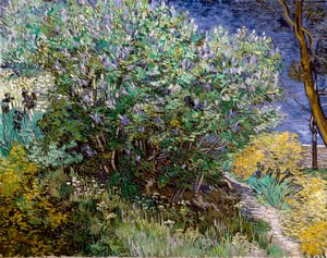 Lila pensas. Vincent VAN GOGH (1853-1890) tekijältä Vincent van Gogh