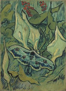 Suuri vihreä riikinkukko (kuoleman pään sfinksi) - Vincent van Goghin (1853-1890) maalaus, öljy kankaalle (33,5x24,5 cm) tekijältä Vincent van Gogh