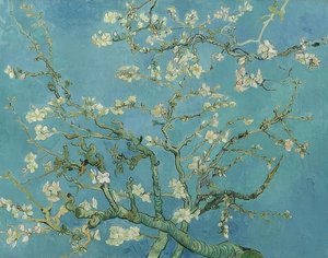 Mantelin kukkia. 1890 tekijältä Vincent van Gogh