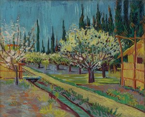 Sypressipuiden ympäröimä hedelmätarha. 1888 tekijältä Vincent van Gogh