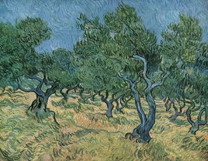 Olive Grove tekijältä Vincent van Gogh