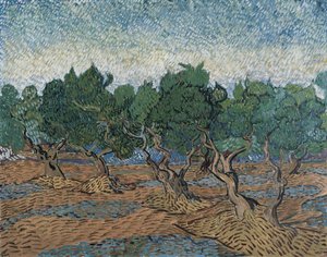 Oliivilehto tekijältä Vincent van Gogh