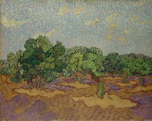Oliivipuut, 1889. tekijältä Vincent van Gogh