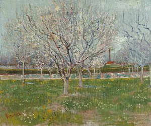 Hedelmätarha kukassa (luumupuita) tekijältä Vincent van Gogh