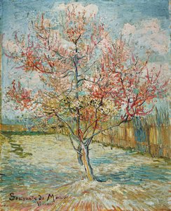 Vaaleanpunaiset persikkapuut (Souvenir de Mauve) tekijältä Vincent van Gogh