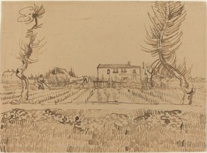 Auraaja pelloilla Arlesin lähistöllä tekijältä Vincent van Gogh