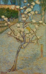 Pieni päärynäpuu kukkimassa tekijältä Vincent van Gogh