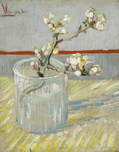Kukkiva mantelipuun oksa lasissa tekijältä Vincent van Gogh