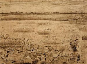 Suo maisema vesililjat tekijältä Vincent van Gogh