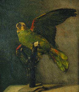 Vihreä papukaija; Le Perroquet Vert, 1885 tekijältä Vincent van Gogh