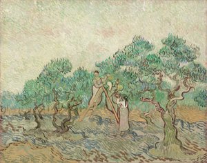 Oliivitarha, 1889. tekijältä Vincent van Gogh