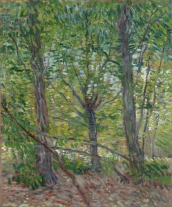  tekijältä Vincent van Gogh