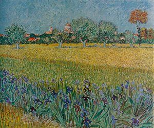 Näkymä oluista iiristen kanssa Bloomissa, 1888 tekijältä Vincent van Gogh
