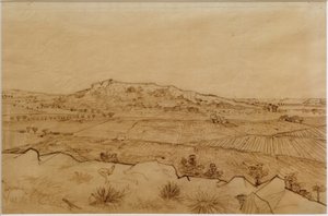 Vue de la Crau tekijältä Vincent van Gogh
