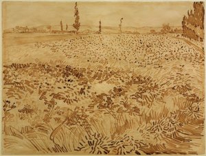 Vehnäpelto tekijältä Vincent van Gogh