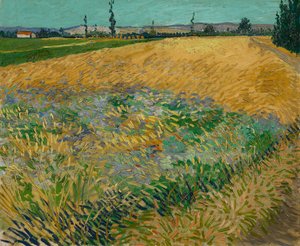 Wheatfield tekijältä Vincent van Gogh