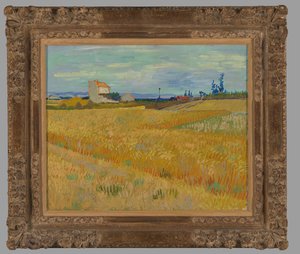Vehnäpelto tekijältä Vincent van Gogh