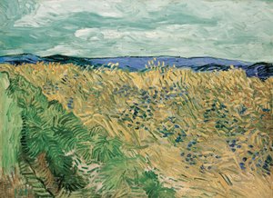 Vehnäpelto ruiskukkailla tekijältä Vincent van Gogh