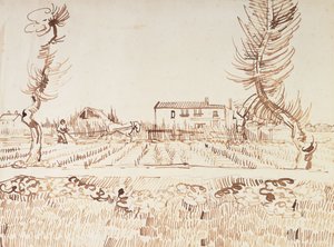 Kentät Arlesissa; Plowman in the Fields Arlesissa, 1888 tekijältä Vincent van Gogh