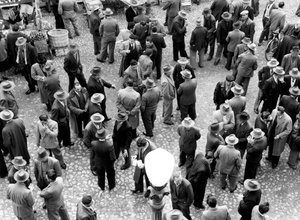 Miesten ryhmät keskustelemassa, Italia, n.1960 (gelatiinihopeakuvio).