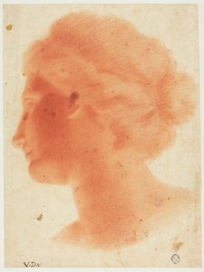 Venus de Medicin pää tekijältä Vincenzo Dandini