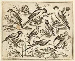 Yksitoista lintua istumassa kukkivien lehtien ja pienten oksien päällä..., 1557. tekijältä Virgil Solis