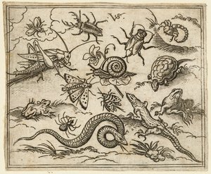 Ryhmä hyönteisiä ja matelijoita tasanteella kivillä, mukaan lukien leguaani, lisko..., 1557.