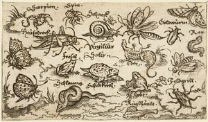 Hyönteiset, matelijat, etanat ja kalat minimaalisella maaperällä, vesi etualalla..., 1572.